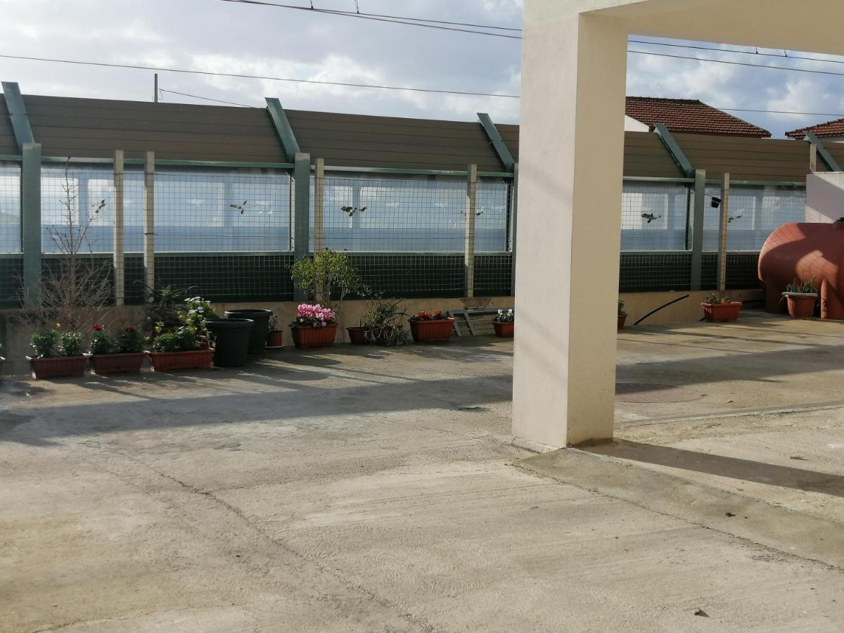 Il Corallo Azzurro Reggio di Calabria Exterior foto